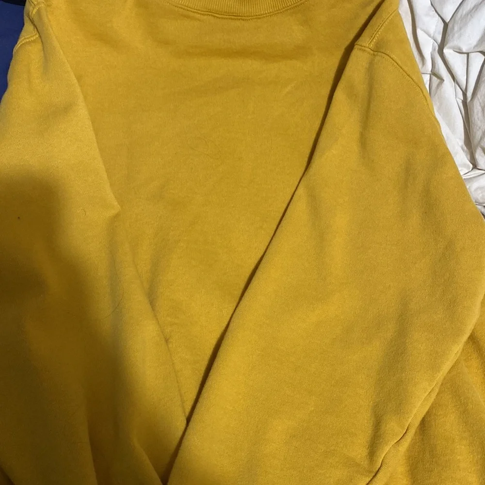 XXL - Picture 4 of 4